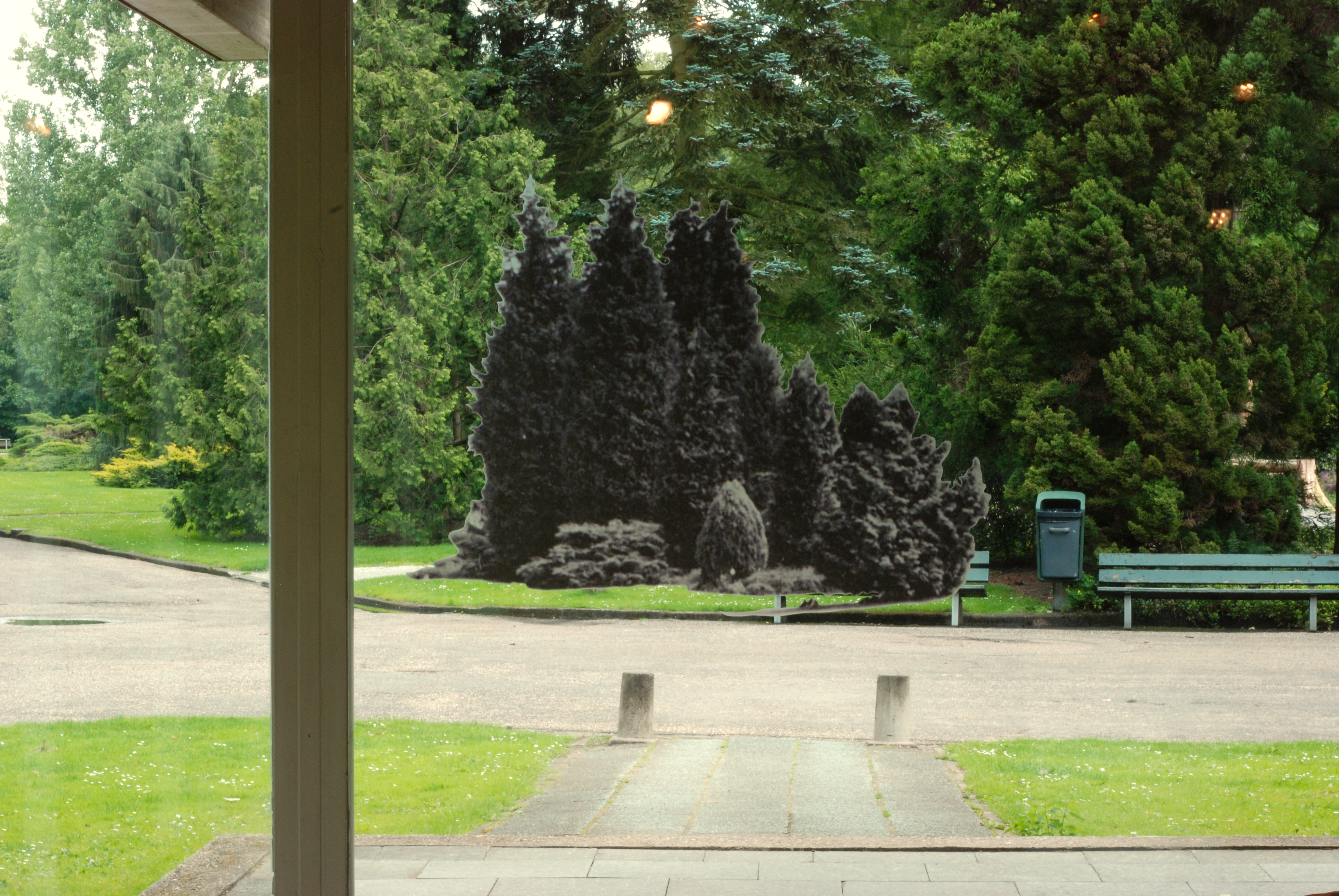 trees